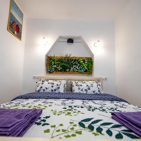 Mia House * Braşov